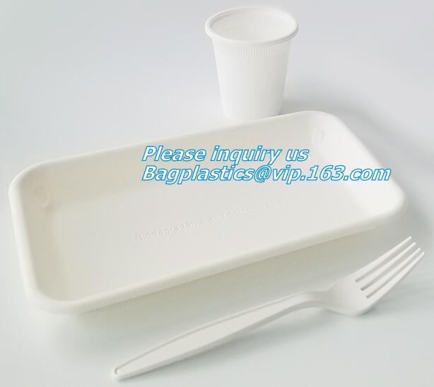 biodegradable food tray for fruit or snack biodegradable corn starch disposable plastic food tray PLA Foamed Biodegradab