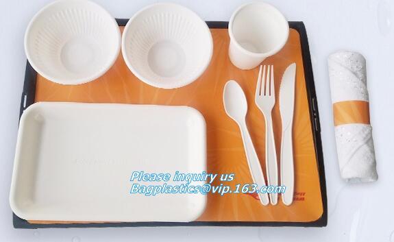 blister packaging tray, rectangular plastic food tray, CornStarch PLA cement tray