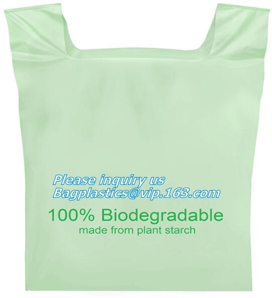 China Suppliers Wholesale Cheap Price Custom Printed Shopping Carrier Small Compostable 100% Oxo-Biodegradable Plastic B