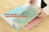 hot selling plastic pp rainbow expanding file wallet folder with elastic band