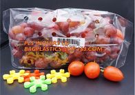 fresh cherries packaging bags with carrier handle, Pack Grape/cherry/Fresh Fruit packaging/Vegetable food Packaging Bag