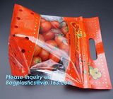 fresh protect zipper packaging for cherry, Fruit Grape Cherry Vegetable Packing Protection Bag, Reliable Modified Atmosp
