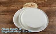 100% biodegradable and compostable sugarcane disposable paper plate 10&quot;x8&quot;oval plate,7 inch round disposable tableware s