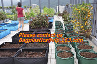 Poly Planter, Grow Bag, garden bags, grow bags, hanging plant bags, planter, Plastic plan garden bags, garden supply pac