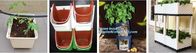 strawberry vertical stackable planter plastic garden pots flower pot,PP material Mini plastic succulent pot for home gar