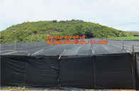 insect repellent net/20x10 Anti Aphid Net/Greenhouse/Agriculture insect proof net,Agricultural Insect Proof Net/Anti Ins