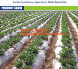 GARDEN GREENHOUSE AGRICULTURAL PLASTIC MULCH FILM, 100% PP/PE Woven Agriculture Ground Cover/Mulch Film/Weed Mat, FILM