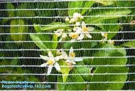 HDPE Virgin White Recycle Greenhouse Anti Insect Net,50 mesh cover greenhouse agricultural anti insect net insect nettin