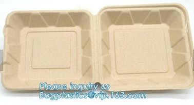 Dishes &amp; Plates Dinnerware Blister packaging Resturant Disposable Food Serving Tray food disposable container