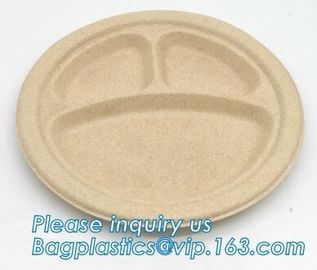 biodegradable food tray for fruit or snack biodegradable corn starch disposable plastic food tray PLA Foamed Biodegradab