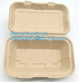 biodegradable disposable corn starch tray compartment catering tray fruit packaging tray made from cornstarch