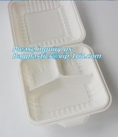 Disposable Plastic Takeaway Meal Tray, Corn starch blister packaging tray, blister packaging