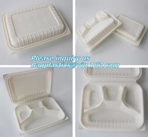 Food Serving Compartment Tray, Food Meat Packaging Tray, eco friendly vegetable tray