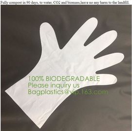 Biodegradable and compostable PLA gloves,OEM cheap biodegradable kitchen disposable gloves with EN13432 BPI OK compost h