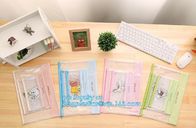 Customize Mesh PVC Pencil Bag A4 Travel Passport Pouch, Plastic Zip lockk document file bag