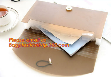 new popular a4/letter size plastic pp poly Expandable Desk top file folder organizer