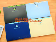 OEM Office stationery filing supplies plastic document pp envelope carrying file folder bag with button closure