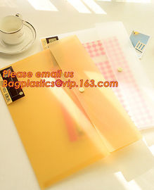 PP Polypropylene Plastic Office Stationery, PP Translucent plastic button document file folder bag with line structure