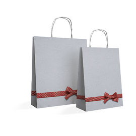 Customized logo silver hot-stamping logo luxury paper gift bags wholesale,paper bag printing with silk handle and