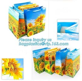 Foldable Custom Printed Gift Paper Bag Recycled Paper Bag Luxury,Promotional Printed Gift Paper Bag,Printed Gift Bag Pap