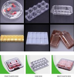 custom clear blister plastic high quality food packaging trays for Cherry Tomato Oranges,food grade PET plastic egg tray