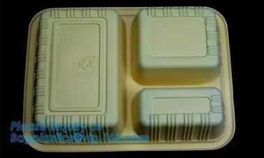 Compartments food grade blister plastic frozen and microwave dumpling tray,Packing Tray Disposable Food Plastic Package