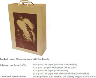 pp rope paper bag/paper shopping bag with 15 years experience/bolsa de papel ropa