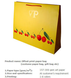 pp rope paper bag/paper shopping bag with 15 years experience/bolsa de papel ropa