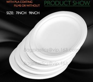 white circular paper dinner plates with PLA coating film, tableware, Light Industry &amp; Daily Use, Tableware, Plates