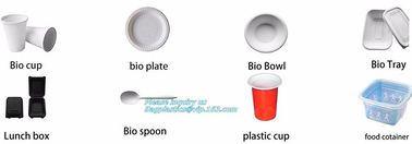 SUGARCANE CUPS PLATE BOWL CONTAINERS, ECO FRIENDLY BIOGERADABLE CULTERY, PLA TRAY, STARCH BASED PRODUCTS compostable