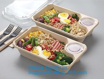 Biodegradable Microwave Bamboo Sugarcane Bagasse Food Container,Eco friendly disposable sugarcane food container with li