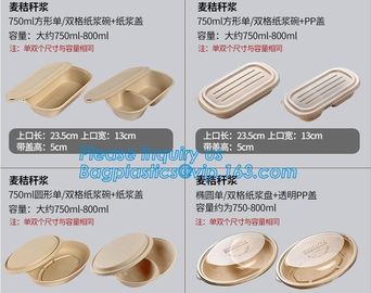 Biodegradable Microwave Bamboo Sugarcane Bagasse Food Container,Eco friendly disposable sugarcane food container with li