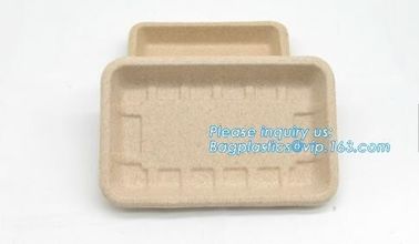 Biodegradable &amp; Compostable 8 inchSquare sugarcane trays,sugarcane pulp compostable serving tray,lunch tray bagasse suga