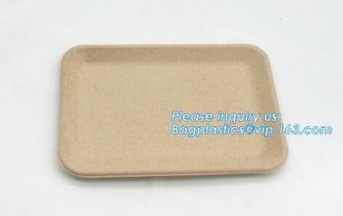 Biodegradable &amp; Compostable 8 inchSquare sugarcane trays,sugarcane pulp compostable serving tray,lunch tray bagasse suga