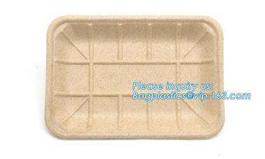 Biodegradable &amp; Compostable 8 inchSquare sugarcane trays,sugarcane pulp compostable serving tray,lunch tray bagasse suga