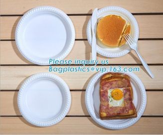 Biodegradable Disposable Sugarcane Bagasse Party Plate,Eco-friendly sugarcane bagasse paper plate/disposable compostable