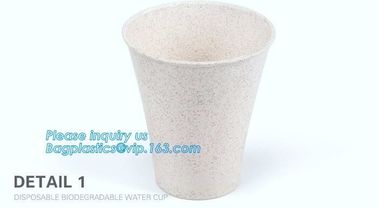 Custom Disposable Clear Cold Drink Juice Cup 100% Ecofriendly Biodegradable Compostable PLA Plastic Coffee Drinking Cup