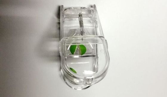 Promotional Wholesale plastic pill cutter table pill spliter, Promotional Wholesale hole plastic pill cutter table pill