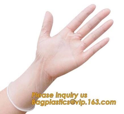 Medical Exam Use Disposable Powder Free Vinyl Gloves/Non Latex Vinyl Gloves/PVC Gloves,Disposable PVC Gloves Powder Free
