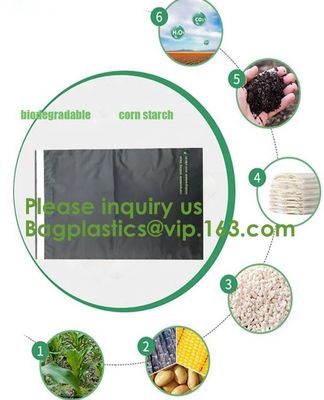 cornstarch Courier Plastic Bags/Mailing envelopes/Printed Mailing Bags,mailer box compost colored boxes in Mailing bags