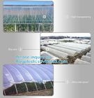 200 Micron Uv Resistant Film Greenhouse Perforated Mulch Agricultural Film Vegetable Planting