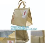 Insulation Large meal package Clear lunch Cooler Bag cold storage take-away bag ice pack 600D material cooler bag BAGEAS