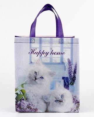 Custom Promotional shopping tote fabric polypropylene laminated pp non woven bag, Wholesale high promotion laminated rec