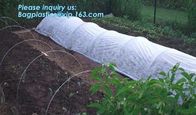 Anti UV sunshade agricultural nonwoven fabric, Agricultural pp spunbond nonwoven fabric /agriculture ground cover for pl