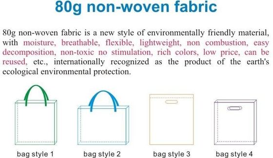 Customized Logo Promotional Non Woven Bag Carrier Bag, New Fashion Non Woven Shopping Bag/PP Non Woven Bag/pp Ecological