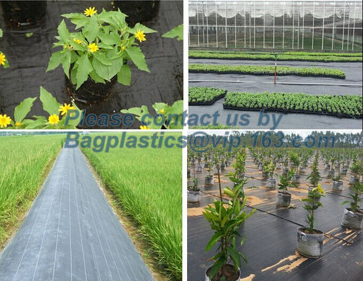 PP ground cover,weed barrier Fabrics, weed mat in strawberry garden, Agricultural weed control pp woven grass mat, 70gsm