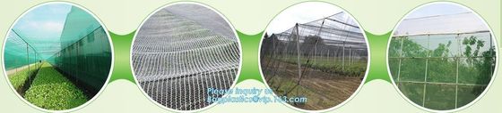 Anti Insect Net For Vegetable Supplier In China,Greenhouse Insect Net /garden netting for ventilation proof, bagease, pa