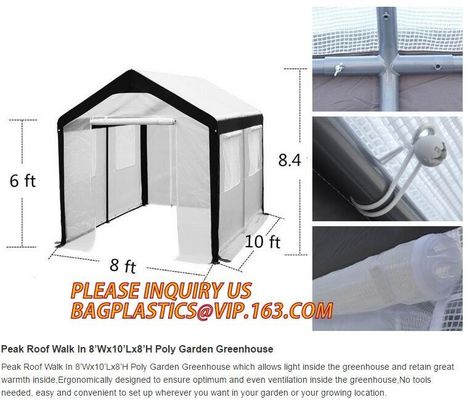 Easy install greenhouse tomato single-span Plastic Film Green House,Low cost garden green houses for plating, PACKAGES