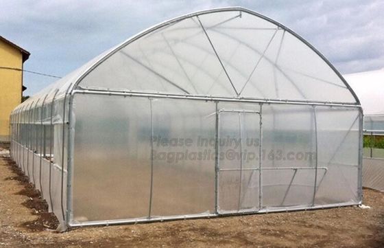 Garden Walk In 4 Shelves& Reinforced PE Cover green houses,Agriculture Farm Commercial Plastic PE Film Multi Spans Green