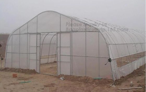 Garden Walk In 4 Shelves& Reinforced PE Cover green houses,Agriculture Farm Commercial Plastic PE Film Multi Spans Green